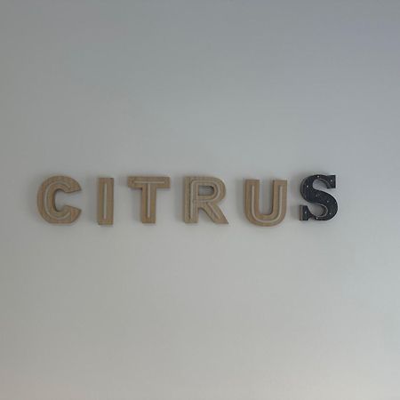 Citrus Suite By Alhaurin Loft City Center Alhaurin de la Torre Exterior photo